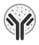 Microimmuno Sphere